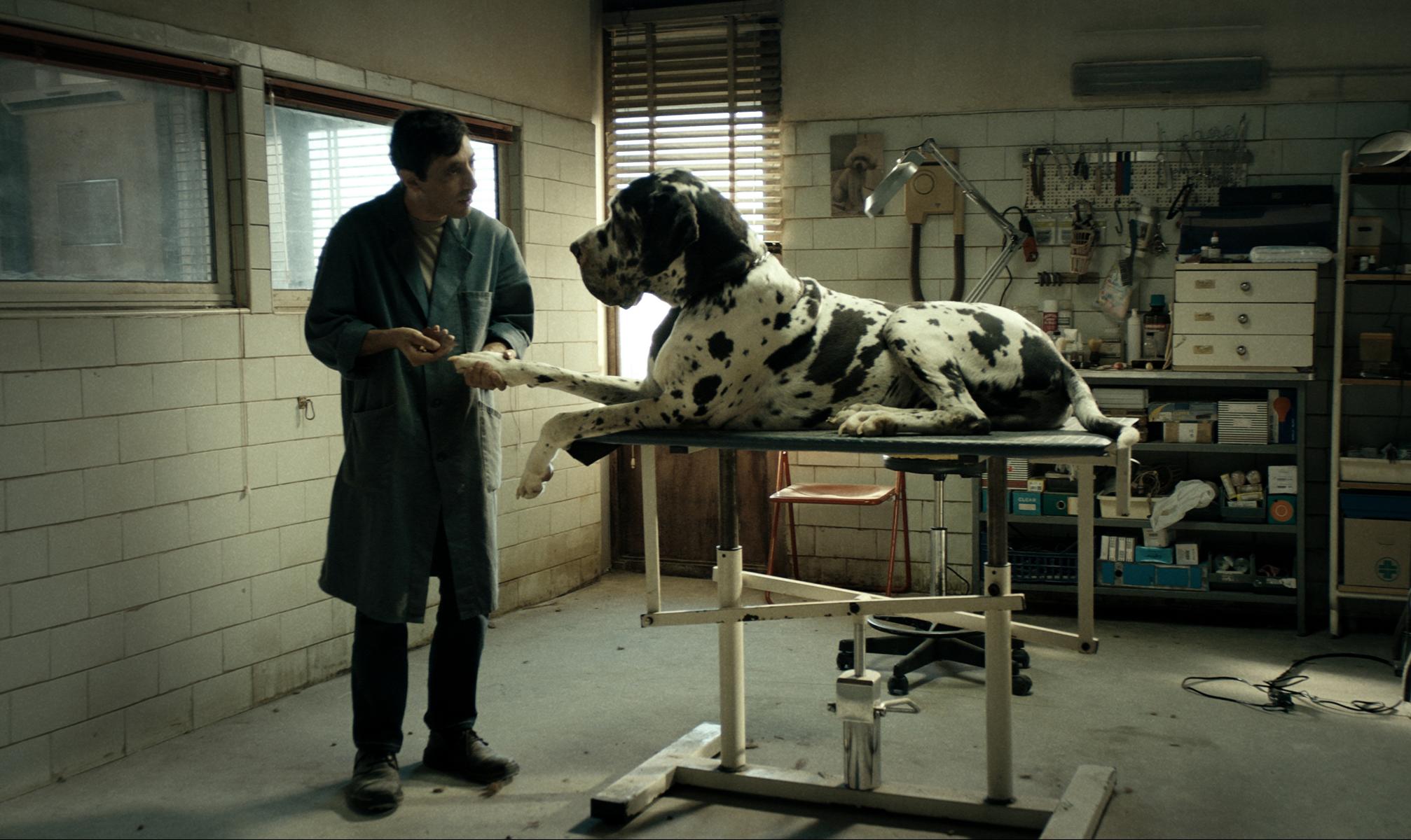 dogman
