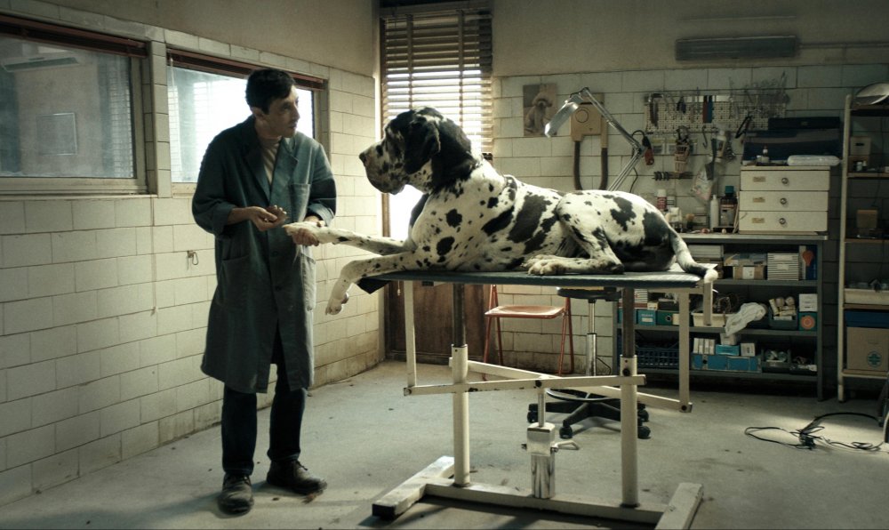 dogman