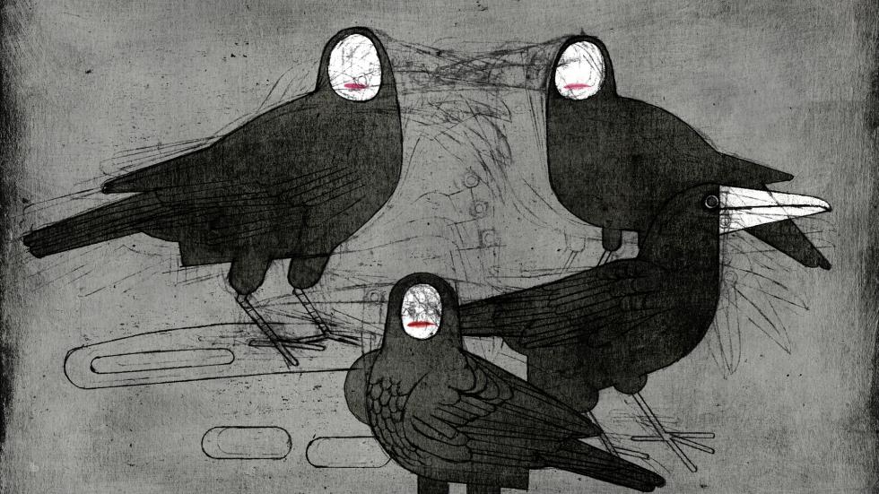 monocromia