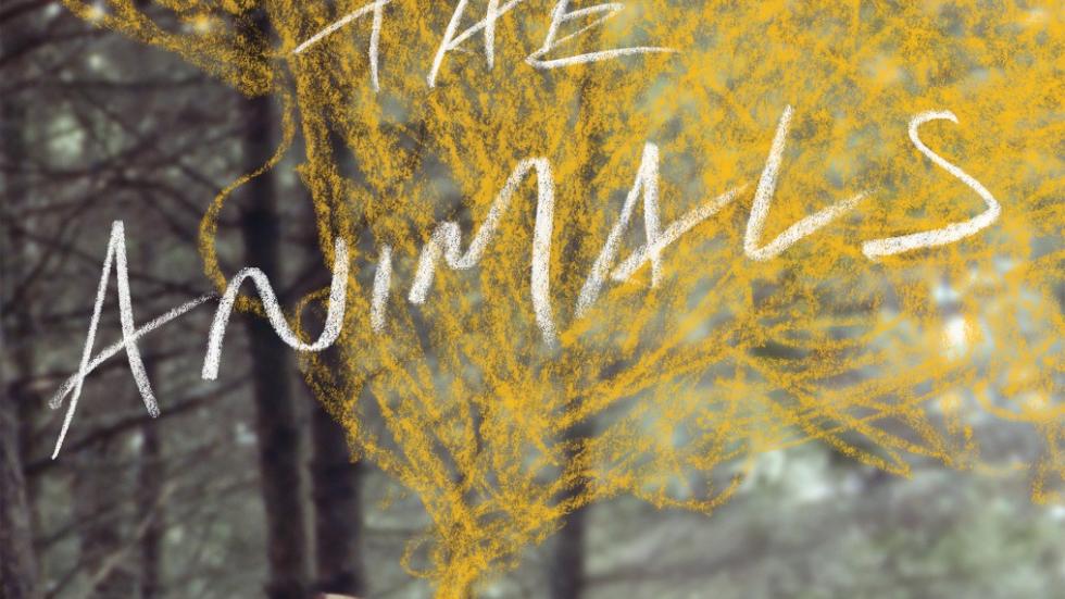 we the animals