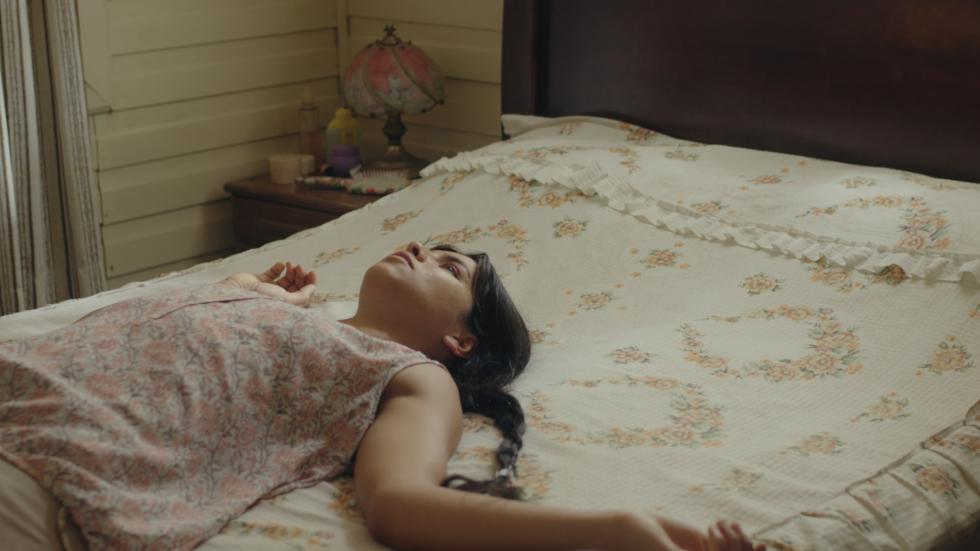 El despertar de las hormigas, SEFF365 y CICUS