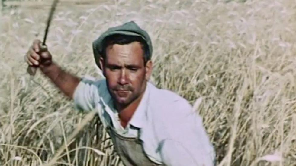 La passione del grano