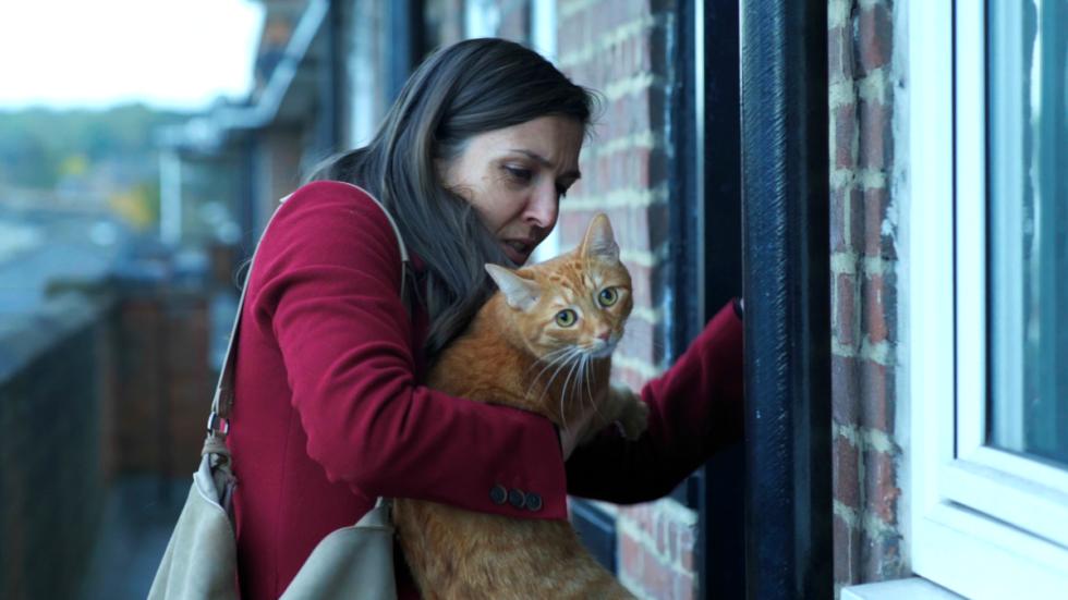 El gato en la pared