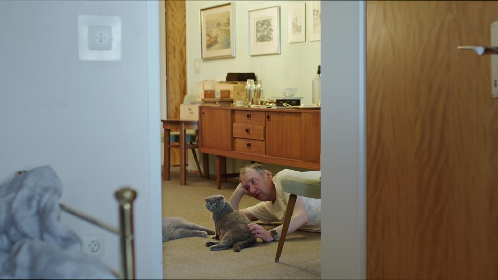 All cats are grey in the dark